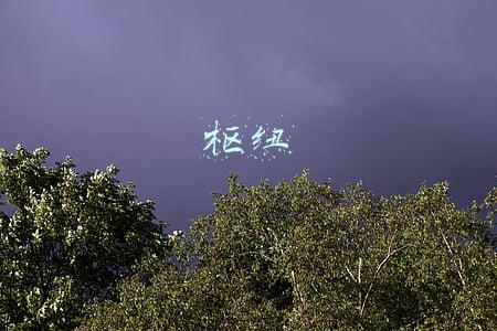 枢纽