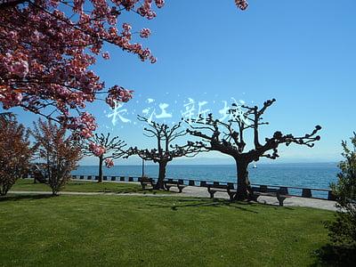 长江新城