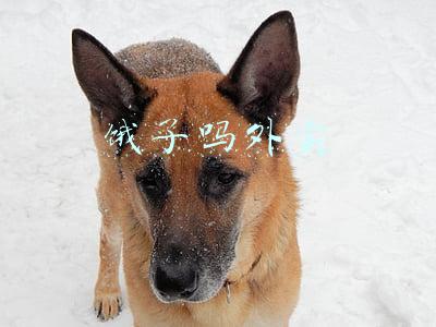 饿了么外卖下载app(29个应用26个能借钱！多个生活类APP植入借贷入口)