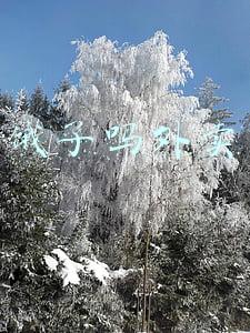 饿了吗外卖