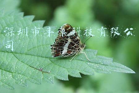 深圳市丰巢科技有限公司官网(丰巢免费保管延长至18小时，一“硬核”小区发起投票调查)