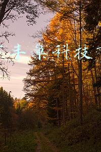 深圳市丰巢科技有限公司客服电话(智能快递柜让快递员权益处于法律“真空区”)