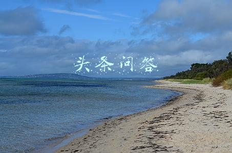 头条问答在哪里打开(怎样找到头条极速版的回答题页面？)