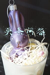 头条问答