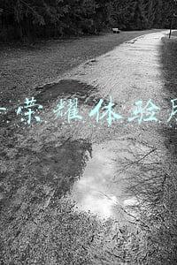 王者荣耀体验服ios