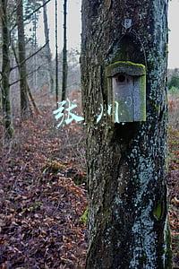 张川