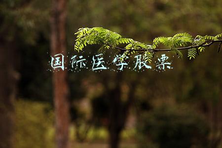 国际医学股票代码是多少(西安国际医学投资股份有限公司 关于公司向深圳证券交易所申请撤销公司 股票其他风险警示的公告)
