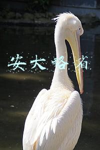 安大略省