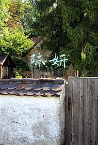 陈妍