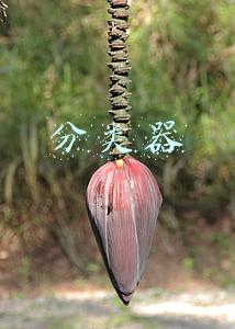 分类器测试的作用是(晨读丨4月2日，关注健康每一天)