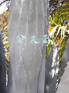 分类器