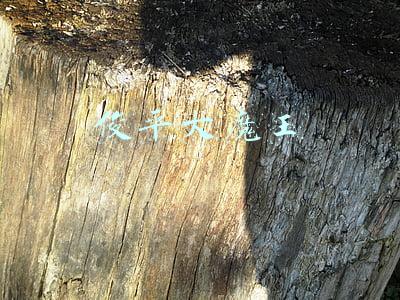 俊平大魔王公司叫什么(俊平大魔王：从IT业跨界到美妆圈，论一个产品经理的创业之路)