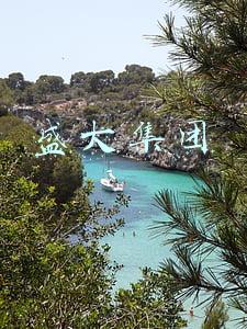 盛大集团