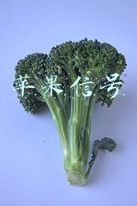 苹果信号怎么改成圆点(iphone屏幕上的圆点3秒钟设置，被多少人忽略的技巧)