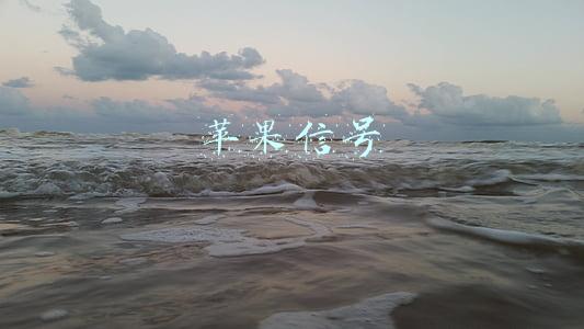 苹果信号