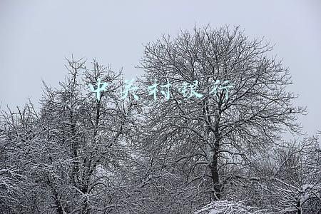 中关村银行