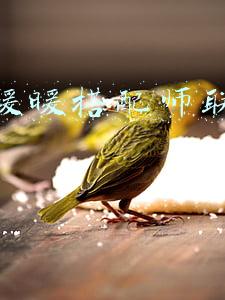 奇迹暖暖搭配师联盟攻略