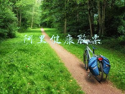 阿里健康股票
