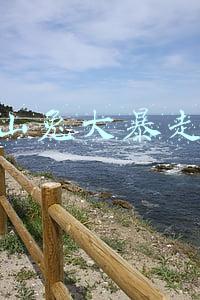山兔大暴走