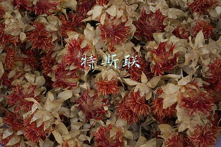 特斯联
