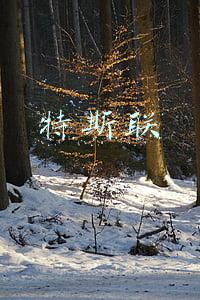 特斯联科技(新闻速递：钉钉拓展数字技术服务 特斯联人工智能科创中心落地四川德阳)