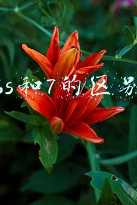 6s和7的区别