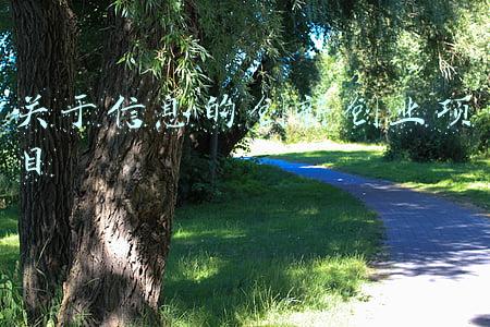 资本云集，好项目多多，杭州良渚生命科技小镇举行生命科技创新创业大赛：科技创新创业项目