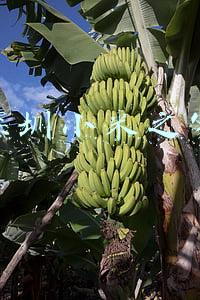 深圳小米之家