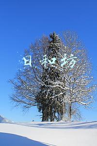 日和坊
