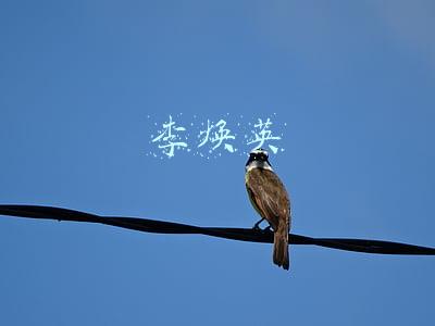 李焕英