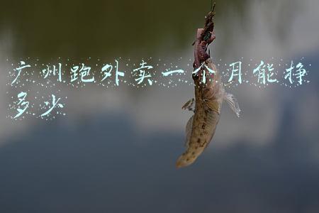 广州跑外卖一个月能挣多少