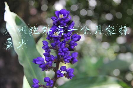广州跑外卖一个月能挣多少