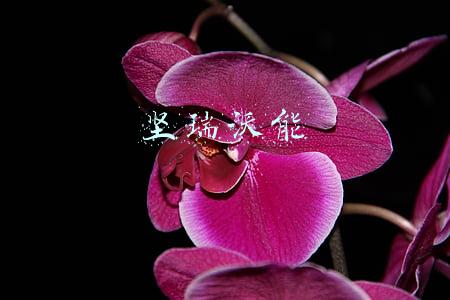 坚瑞沃能最新消息(坚瑞沃能重整计划施行，重生在即？)