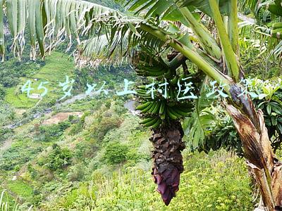 45岁以上村医政策