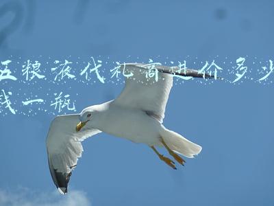 五粮液代礼商进价多少钱一瓶