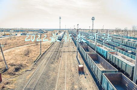 2022最新教师法