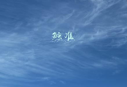 鲸准这家公司怎么样(鲸准数服未履行安全评估程序被网信办约谈，刚有意做中国版CH，股东为金融科技投融资平台)