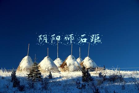 阴阳师石距在哪(搞趣网：阴阳师石距给多少经验 石距是不是无限打)