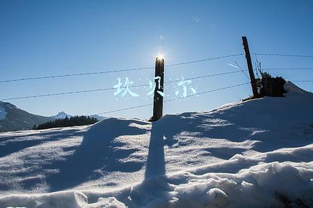 坎贝尔