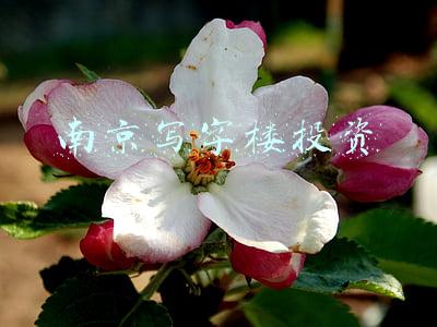 南京写字楼投资