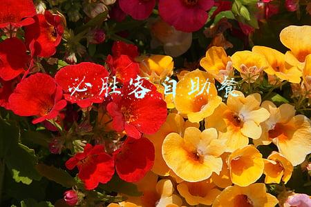 必胜客自助餐