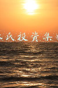 林氏投资集团