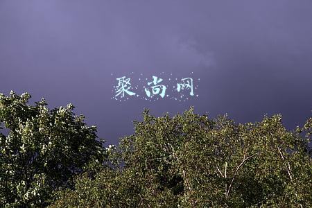 聚尚网