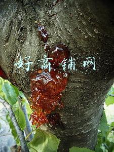 商业商铺网：第一商铺网