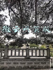 微云网页版