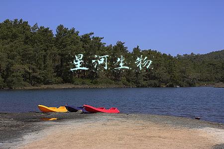 星河生物
