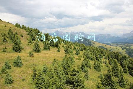 酒店团购网
