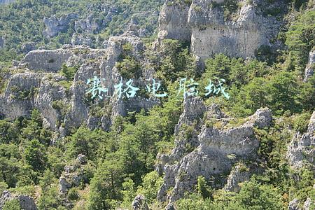 赛格电脑城