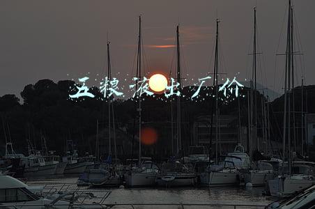 五粮液出厂价