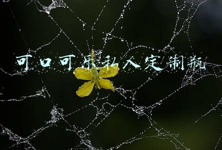 可口可乐私人定制瓶